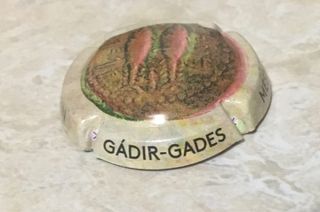 6 Placas de Champagne y Cava