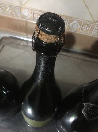 6 Placas de Champagne y Cava