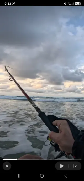 Caña Cinnetic Crafty 270cm 20-60gr