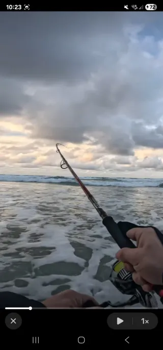 Caña Cinnetic Crafty 270cm 20-60gr