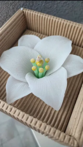 Candela Giglio + Candela quadrifoglio + 2 regali