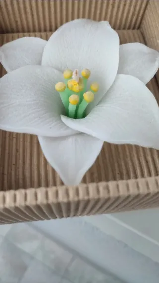 Candela Giglio + Candela quadrifoglio + 2 regali