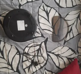 Incubadora Profesional Huevos