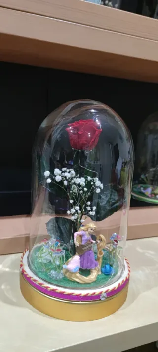 San Valentín ❤️ Cúpula Rapunzel