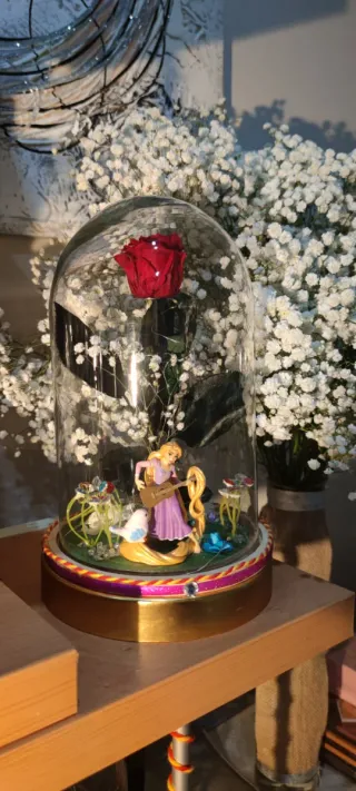 San Valentín ❤️ Cúpula Rapunzel