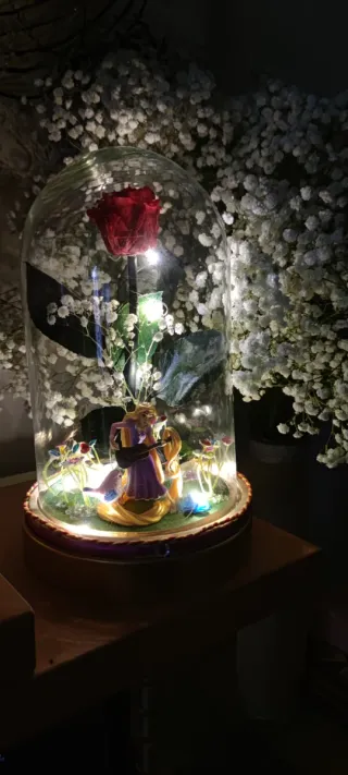 San Valentín ❤️ Cúpula Rapunzel