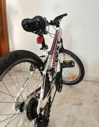 Bicicleta Montaña Juvenil WST Cosmo