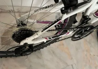 Bicicleta Montaña Juvenil WST Cosmo