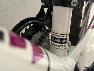 Bicicleta Montaña Juvenil WST Cosmo