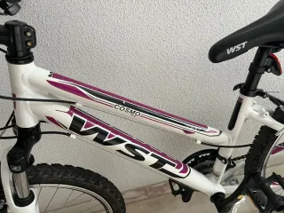 Bicicleta Montaña Juvenil WST Cosmo