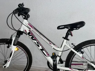Bicicleta Montaña Juvenil WST Cosmo