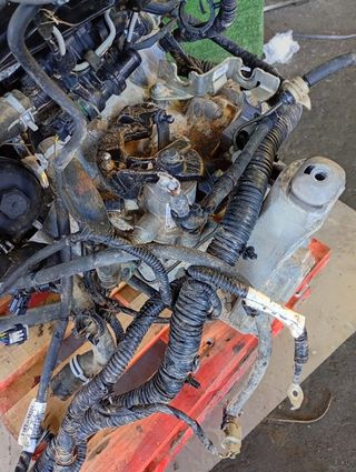 NO IDENTIFICADO FORD C-MAX (CEU)