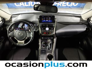 Lexus NX 300h Business 2WD 145 kW (197 CV)