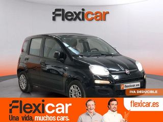 Fiat Panda Panda Hybrid 1.0 Gse 51kw (70CV)