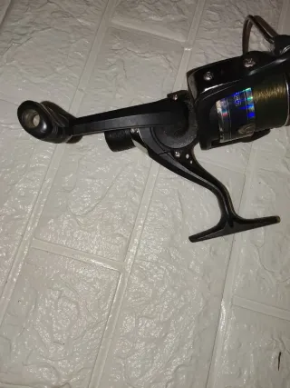 Mulinello Mitchell Tanager