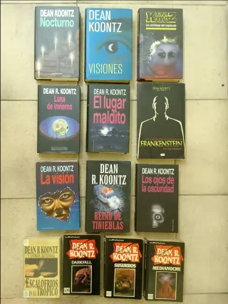 Lote 13 novelas Koontz
