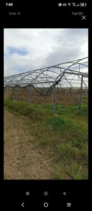 Estructura Invernadero Metálica