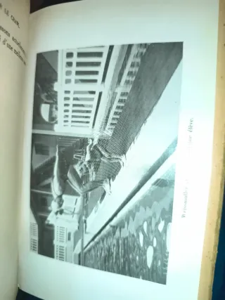 Libro histórico de la natación