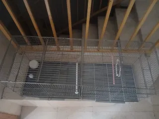 Jaula grande para pájaros