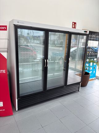 Congelador Hostelería Seminuevo