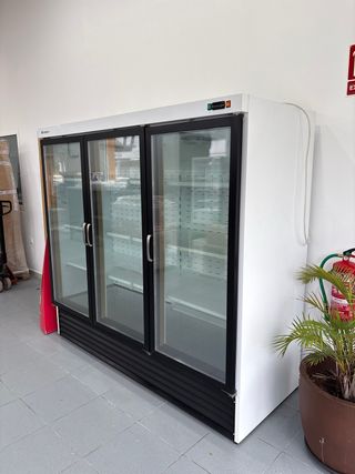 Congelador Hostelería Seminuevo