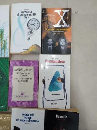 Lote de 19 libros novelas clásicas y ficción