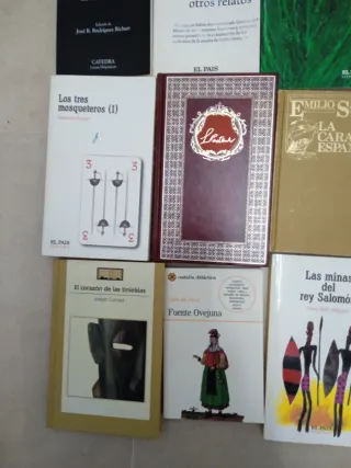 Lote de 19 libros novelas clásicas y ficción