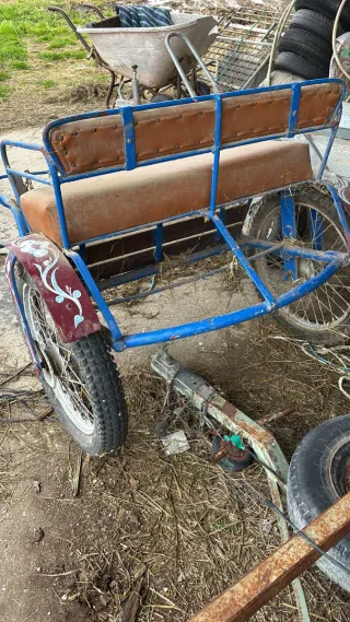 Carro para poni o burro