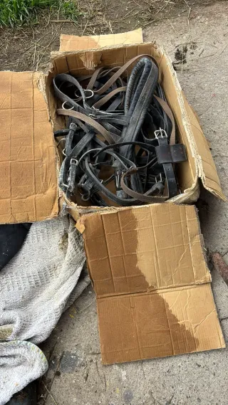 Carro para poni o burro