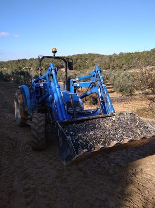 Pala Roda Landini F75