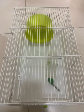 Jaula para hámster blanca y verde