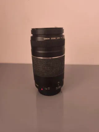 Objetivo profesional canon