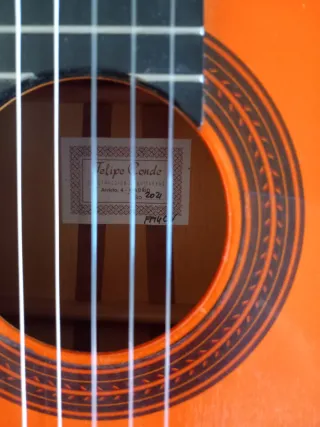 Guitarra felipe conde