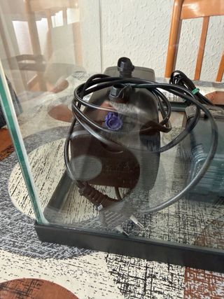 Se venden 2 Acuarius y accesorios