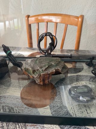 Se venden 2 Acuarius y accesorios