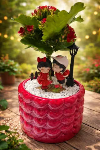 Mini Jardín Plantas Vivas regalo enamorados