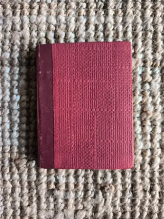 LIBRO ANTIGUO El ideal artístico  Jaime Domenech