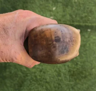 Cinturón Vintage Cuero y Madera