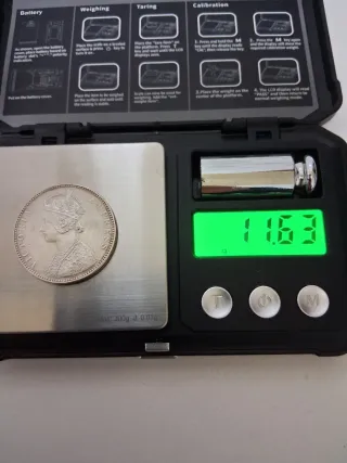 Plata India Británica 1893