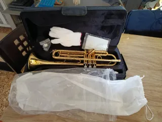 Trompeta dorada con accesorios