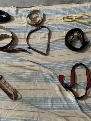 Lote de Cinturones Variados