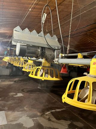 Comedero Roxell Avicultura