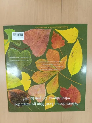 Leaf Man Big Book