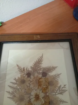 Cuadros con flores secas