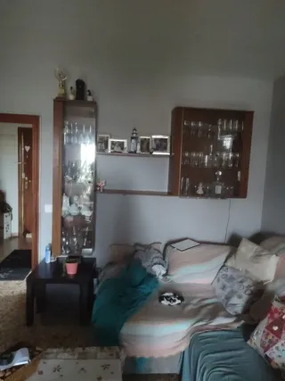 Dos vitrinas de puertas de cristal