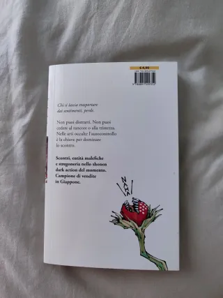 Jujutsu Kaisen. Sorcery Fight