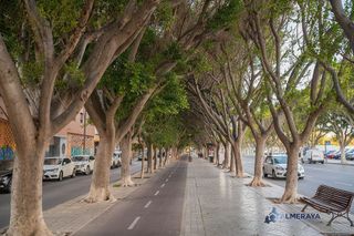 Local comercial en venta en Ciudad Jardín - Tagarete - El Zapillo en Almería