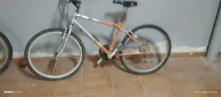 Bicicleta Montaña Talla 24
