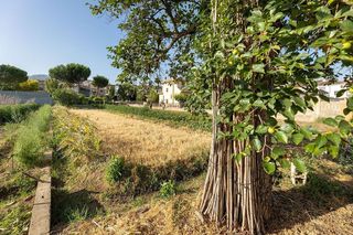 Terreno en venta en Zubia (La)