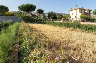 Terreno en venta en Zubia (La)